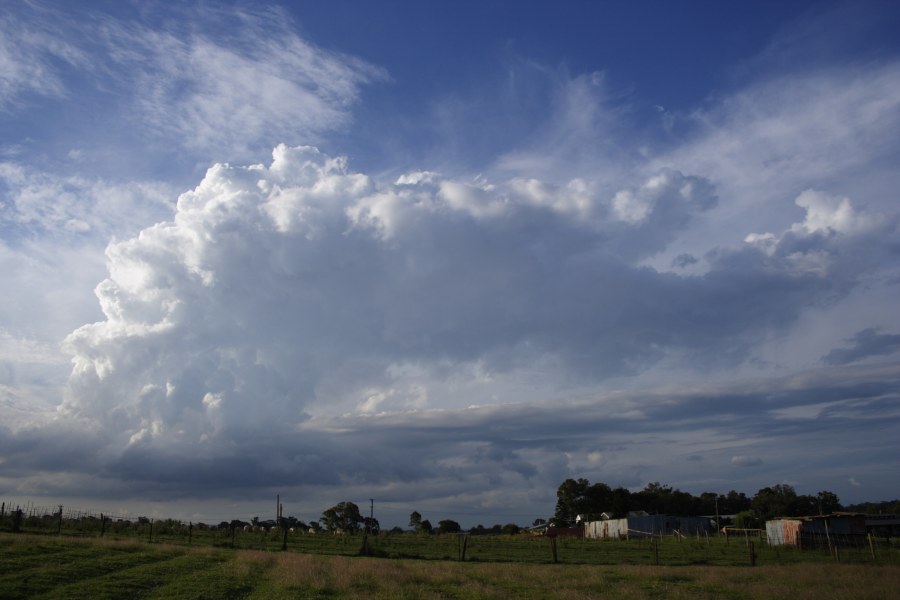 updraft thunderstorm_updrafts : Schofields, NSW   27 December 2007