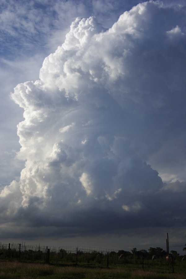 thunderstorm cumulonimbus_incus : Schofields, NSW   27 December 2007