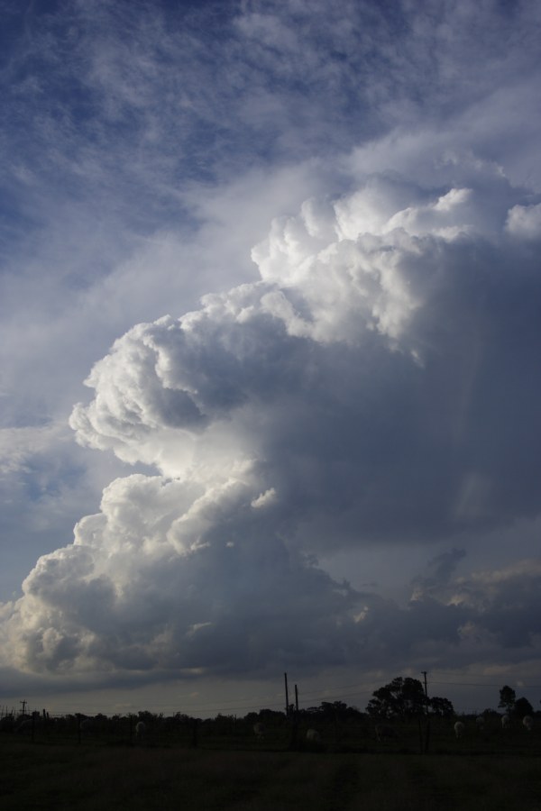 updraft thunderstorm_updrafts : Schofields, NSW   27 December 2007