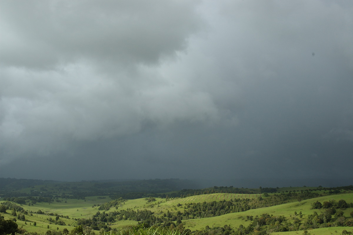 raincascade precipitation_cascade : McLeans Ridges, NSW   1 January 2008