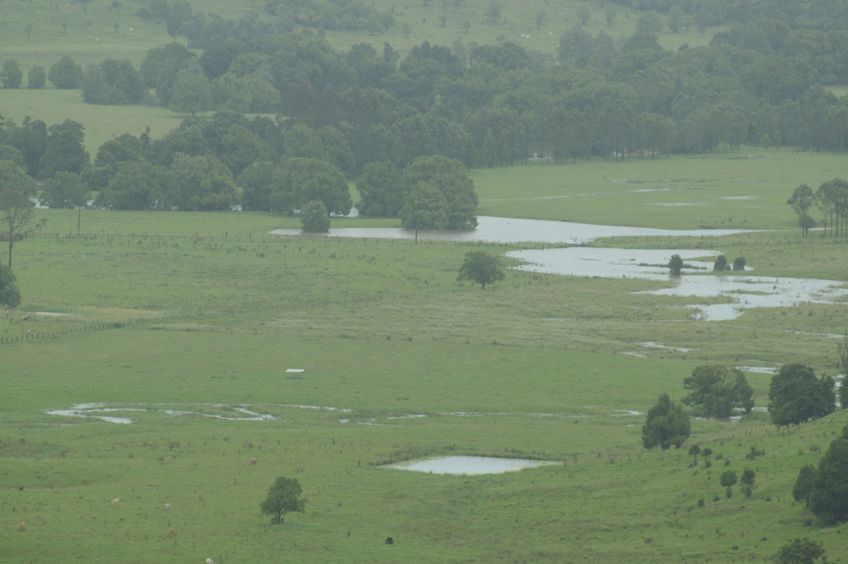 flashflooding flood_pictures : McLeans Ridges, NSW   4 January 2008