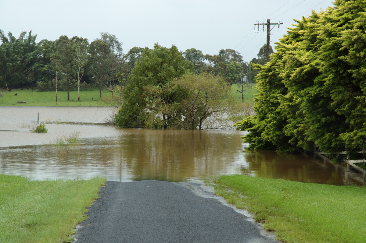 flashflooding flood_pictures : Eltham, NSW   4 January 2008