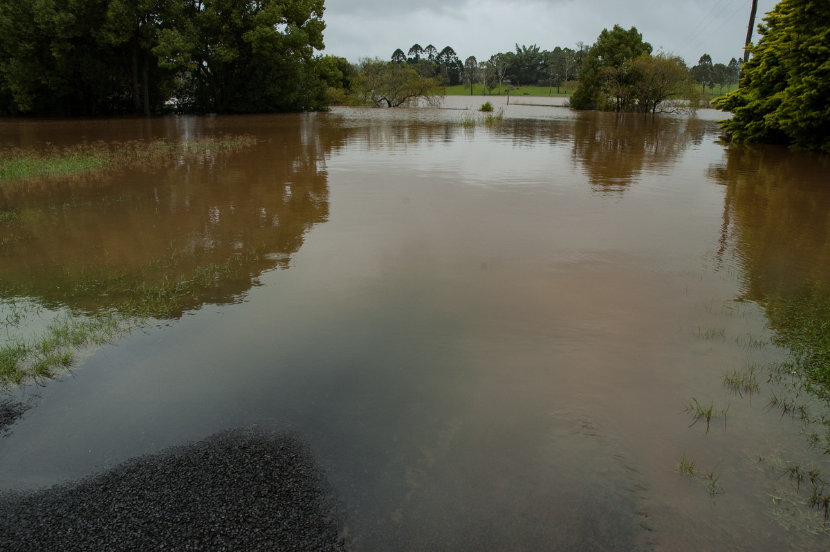 flashflooding flood_pictures : Eltham, NSW   4 January 2008