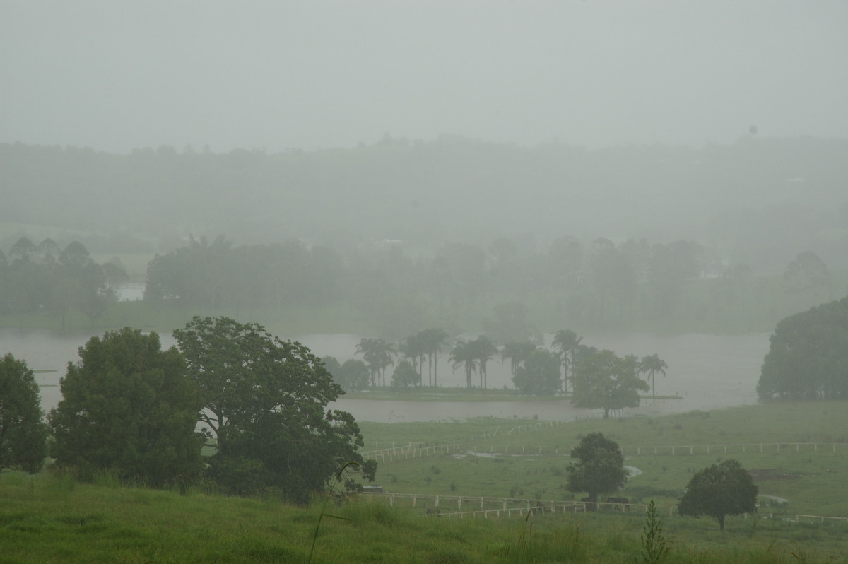 precipitation precipitation_rain : Eltham, NSW   4 January 2008