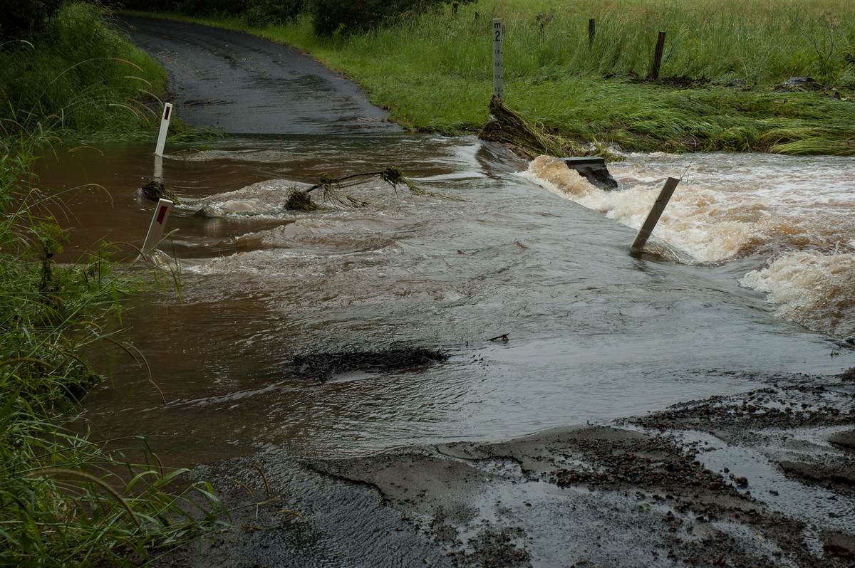 flashflooding flood_pictures : Booyong, NSW   4 January 2008