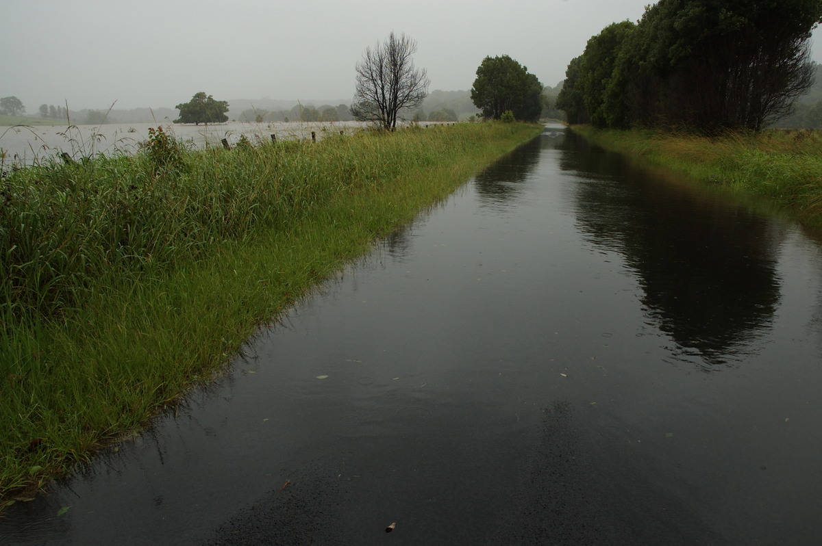 flashflooding flood_pictures : Eltham, NSW   4 January 2008