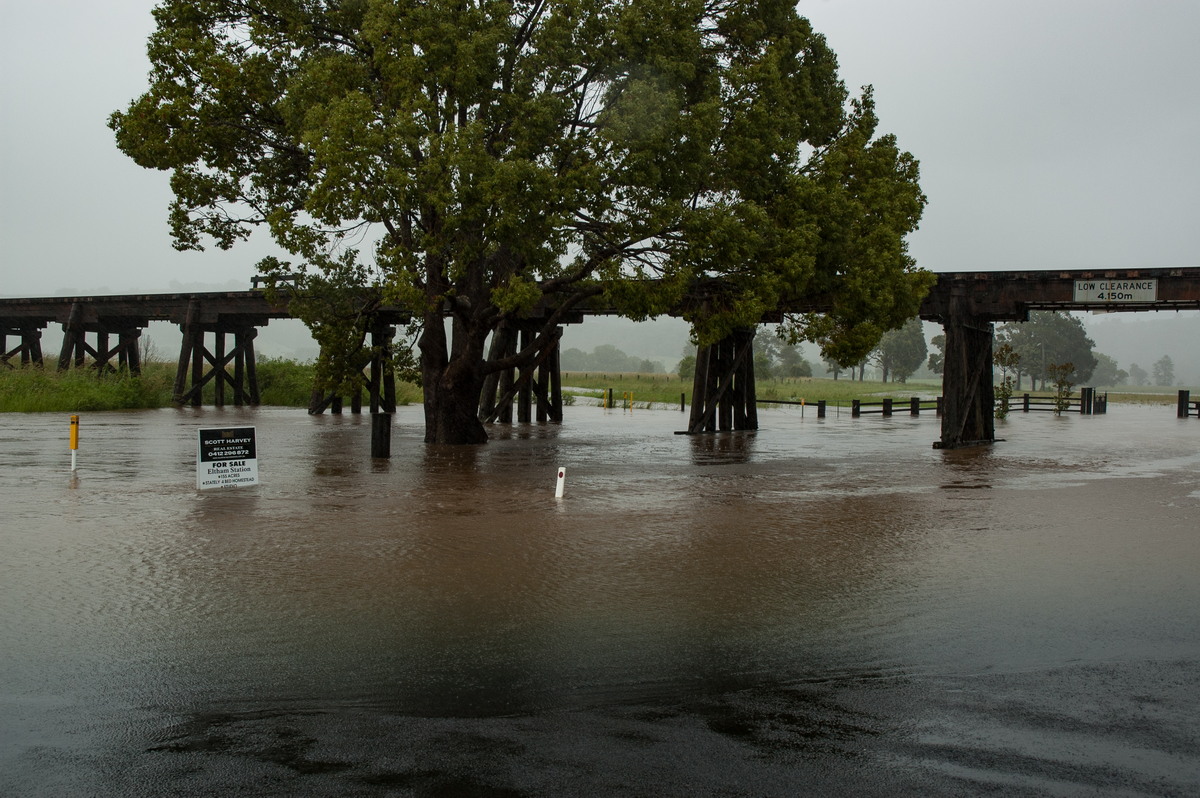 flashflooding flood_pictures : Eltham, NSW   4 January 2008