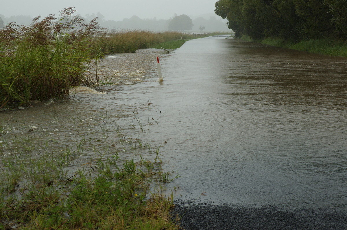 flashflooding flood_pictures : Eltham, NSW   4 January 2008