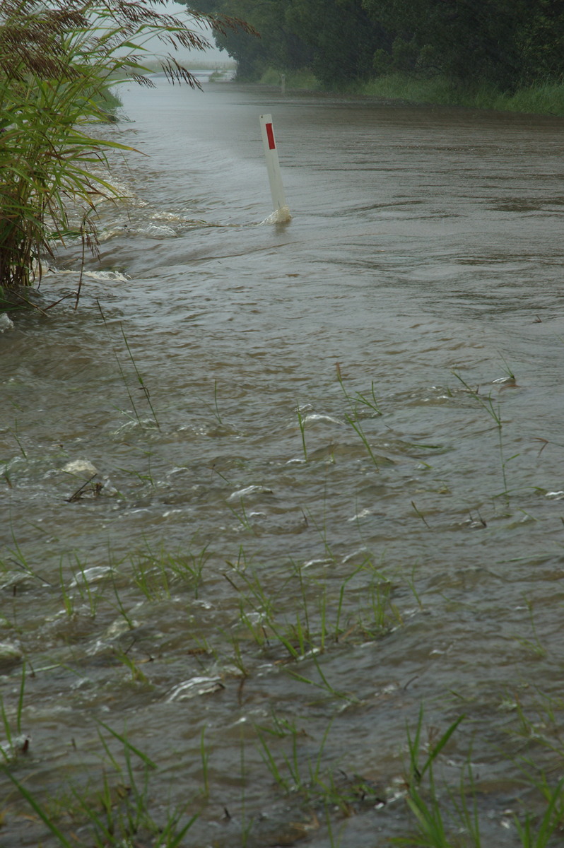 flashflooding flood_pictures : Eltham, NSW   4 January 2008