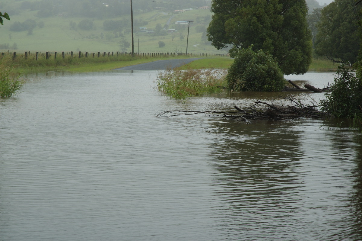 flashflooding flood_pictures : Eltham, NSW   4 January 2008