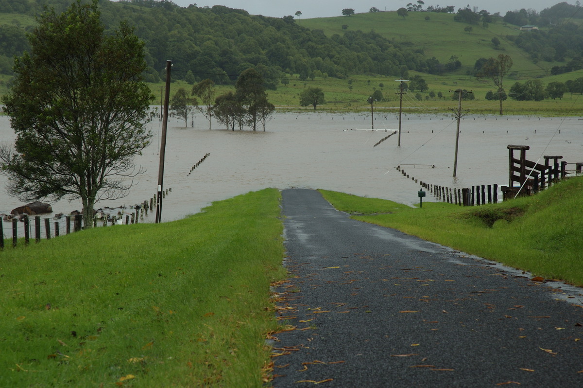 flashflooding flood_pictures : Eltham, NSW   4 January 2008