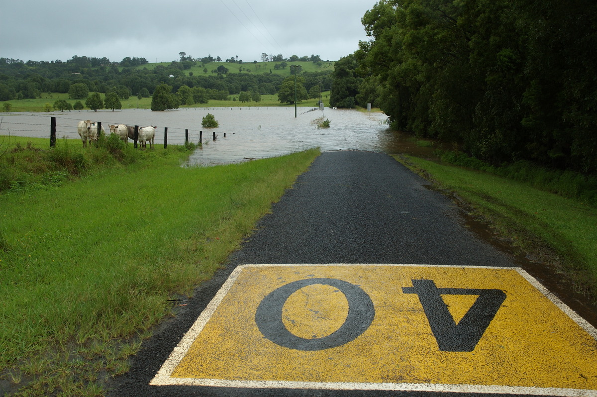 flashflooding flood_pictures : Eltham, NSW   4 January 2008