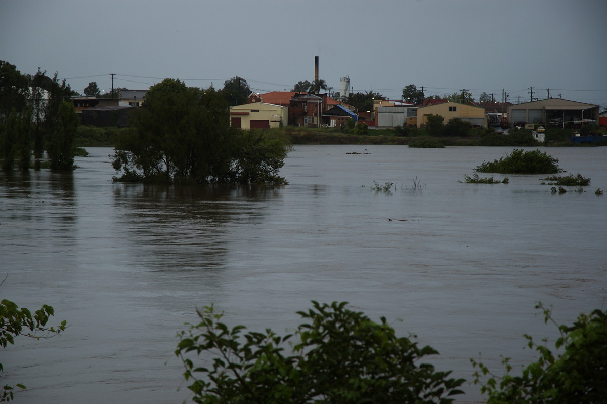 flashflooding flood_pictures : Lismore, NSW   4 January 2008