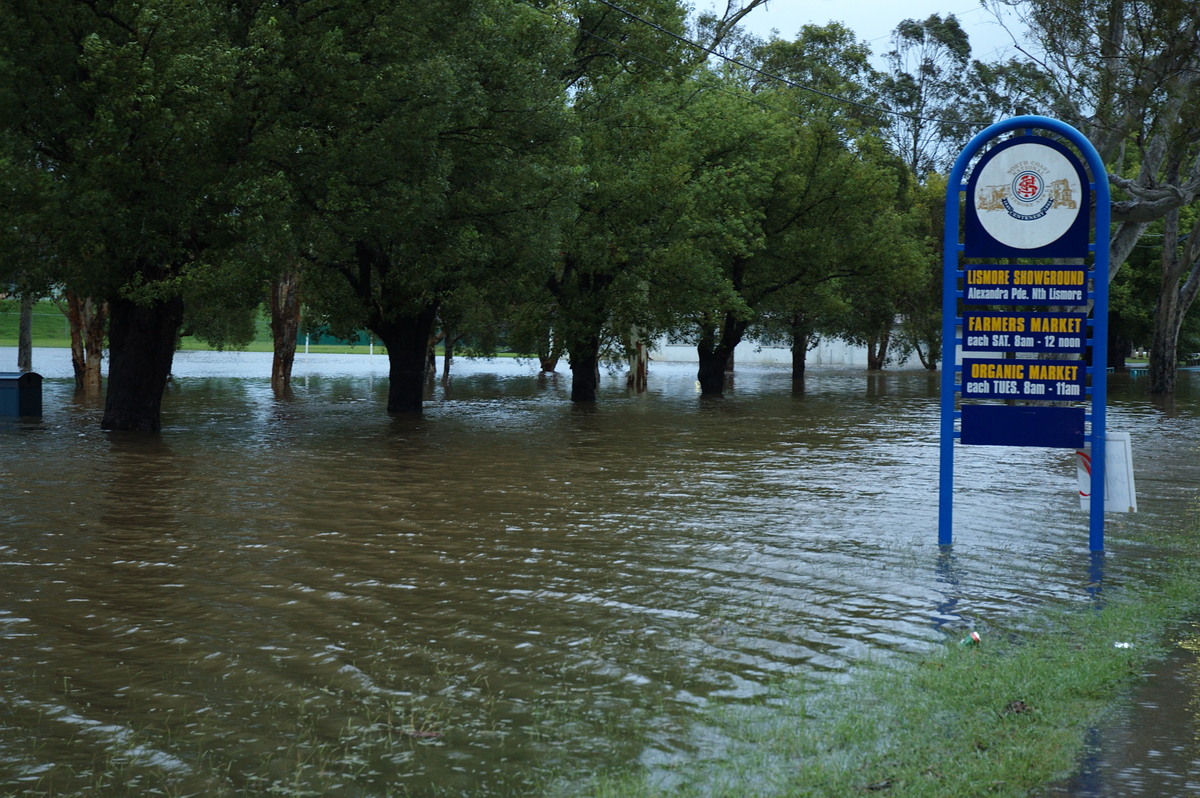 flashflooding flood_pictures : Lismore, NSW   4 January 2008