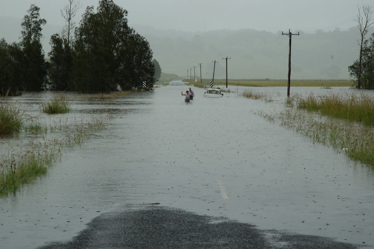 precipitation precipitation_rain : South Lismore, NSW   5 January 2008