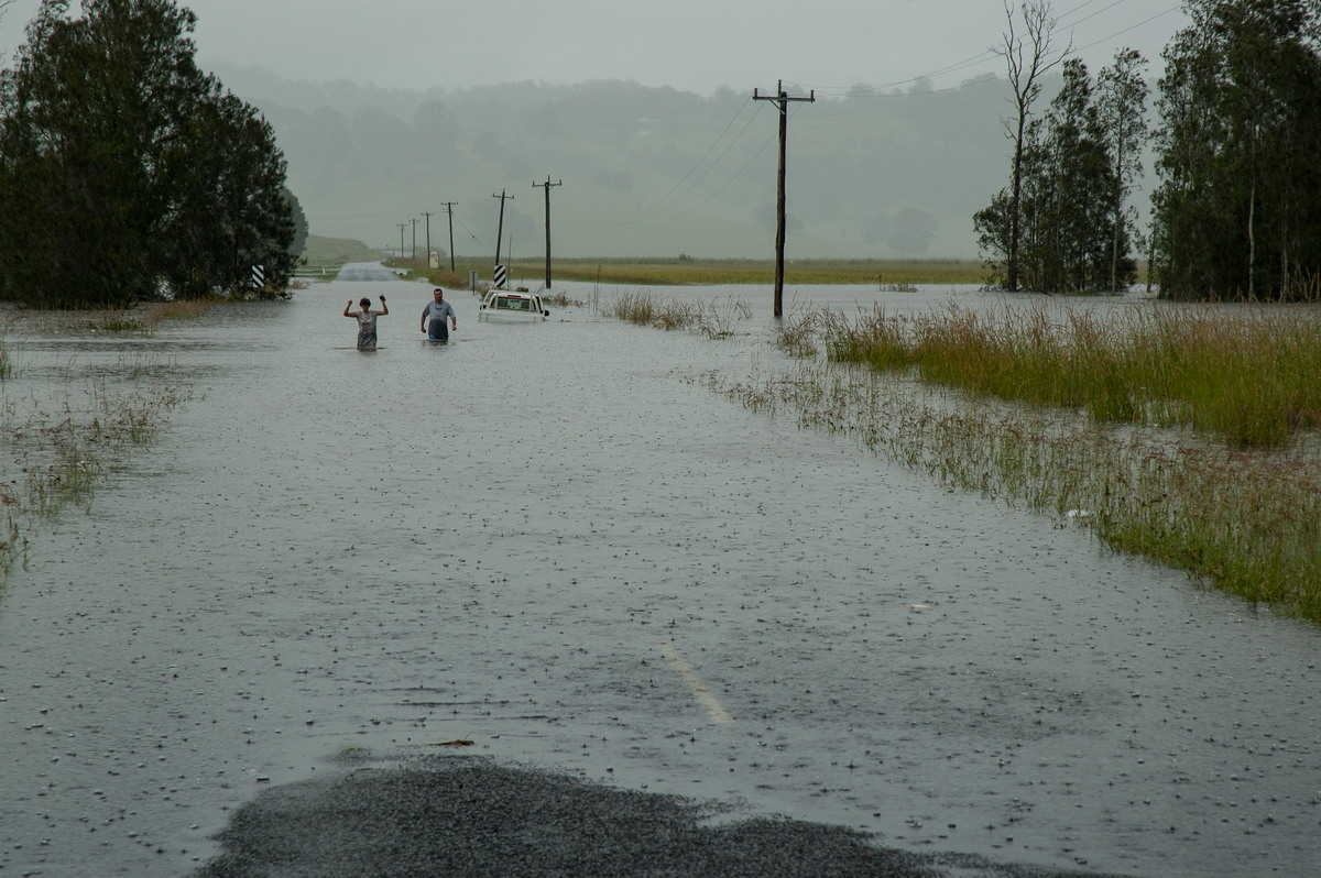 flashflooding flood_pictures : South Lismore, NSW   5 January 2008