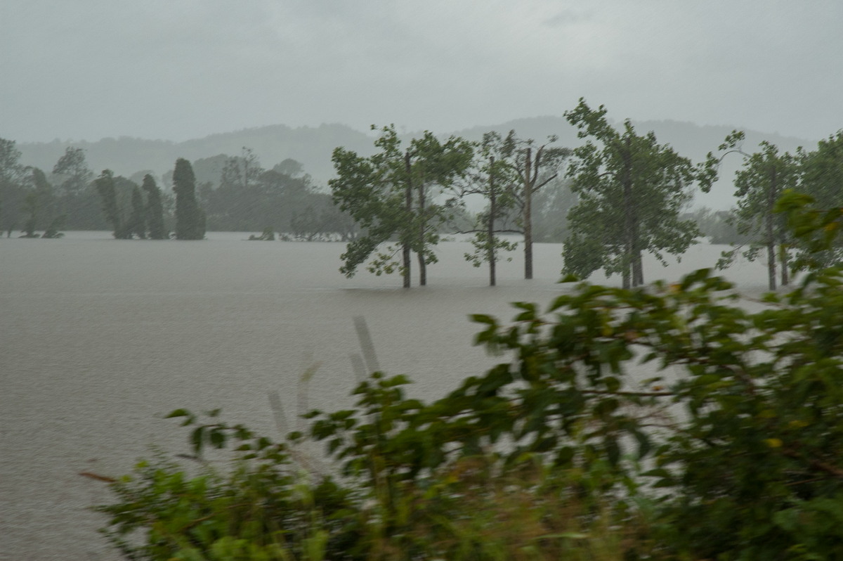 flashflooding flood_pictures : South Lismore, NSW   5 January 2008