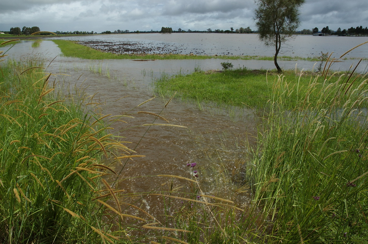 flashflooding flood_pictures : N of Casino, NSW   5 January 2008