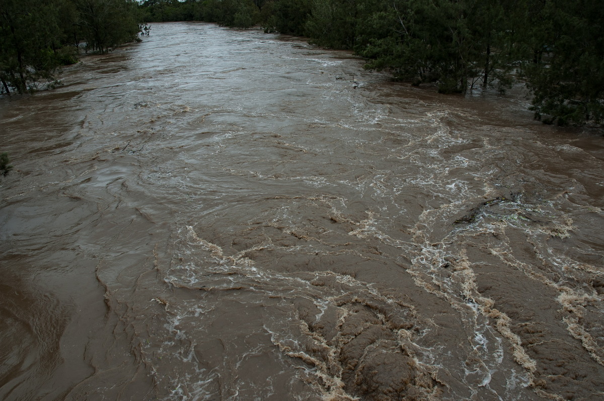 flashflooding flood_pictures : Casino, NSW   5 January 2008