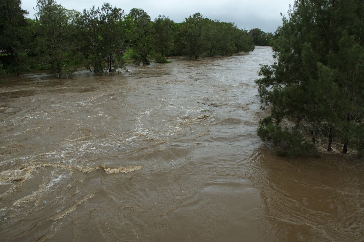 flashflooding flood_pictures : Casino, NSW   5 January 2008