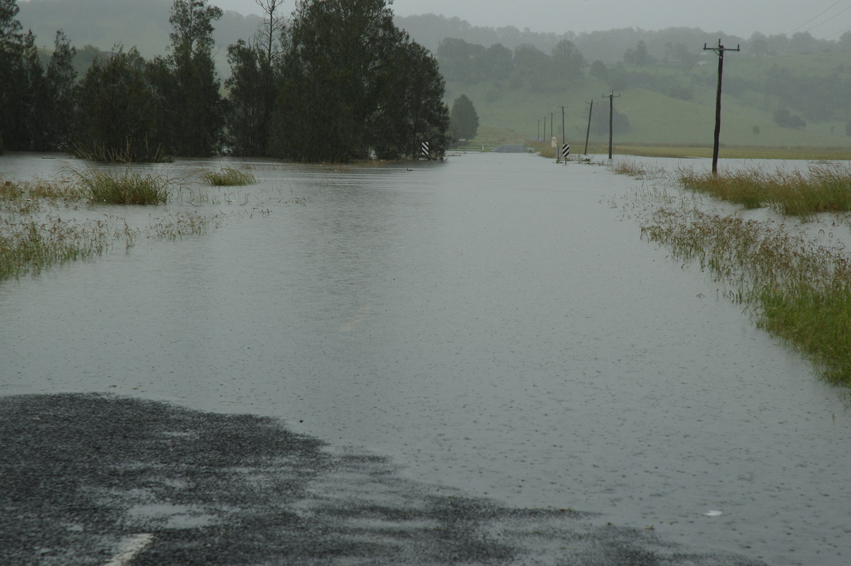 flashflooding flood_pictures : South Lismore, NSW   5 January 2008