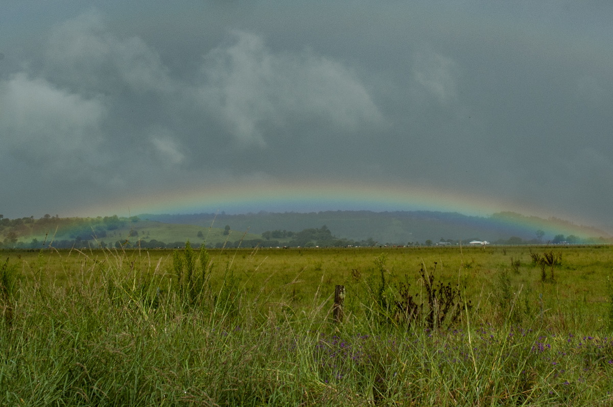 rainbow rainbow_pictures : Leycester, NSW   5 January 2008
