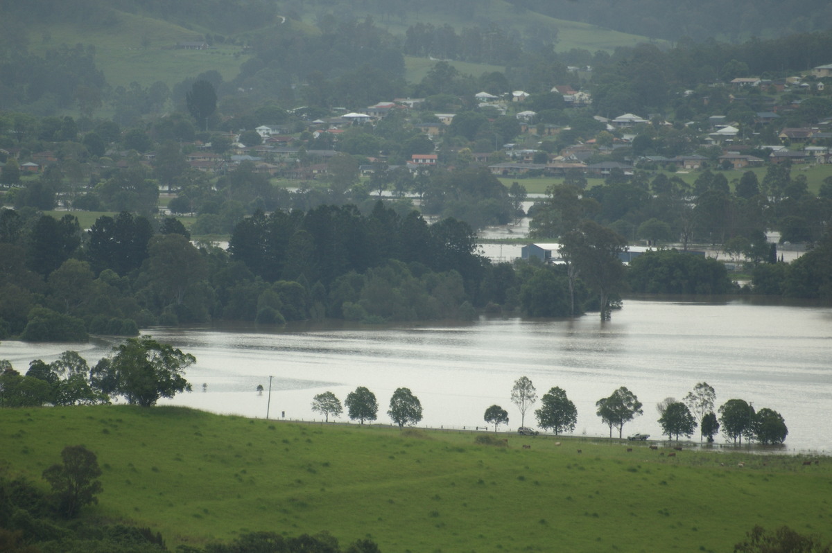 flashflooding flood_pictures : Kyogle, NSW   5 January 2008