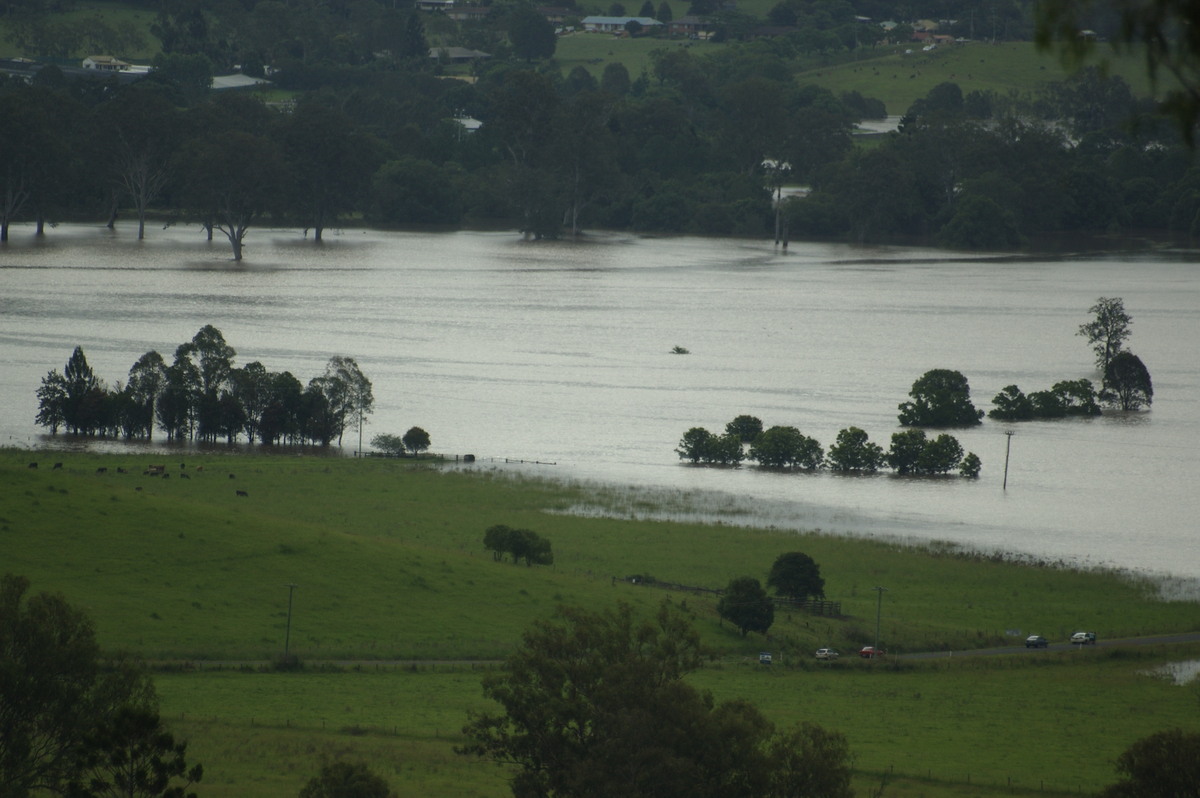 flashflooding flood_pictures : Kyogle, NSW   5 January 2008