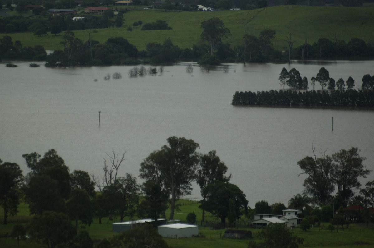 flashflooding flood_pictures : Kyogle, NSW   5 January 2008