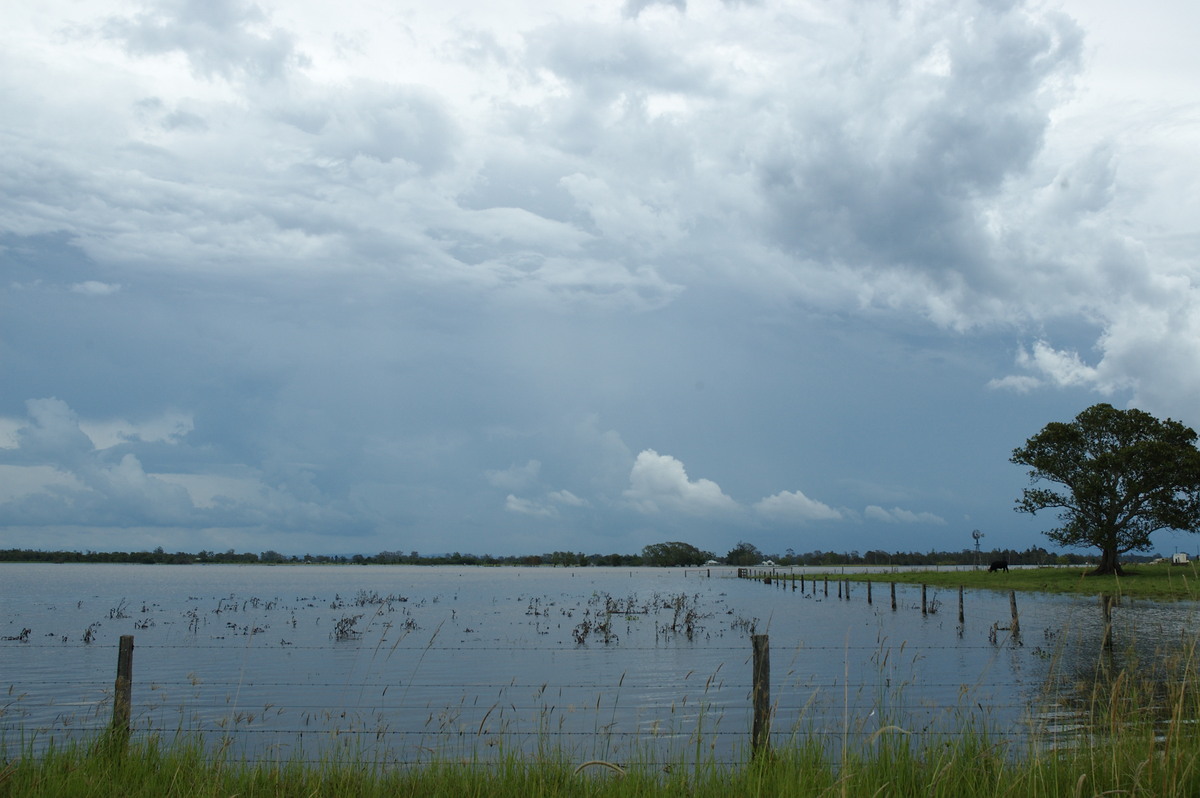 flashflooding flood_pictures : McKees Hill, NSW   6 January 2008