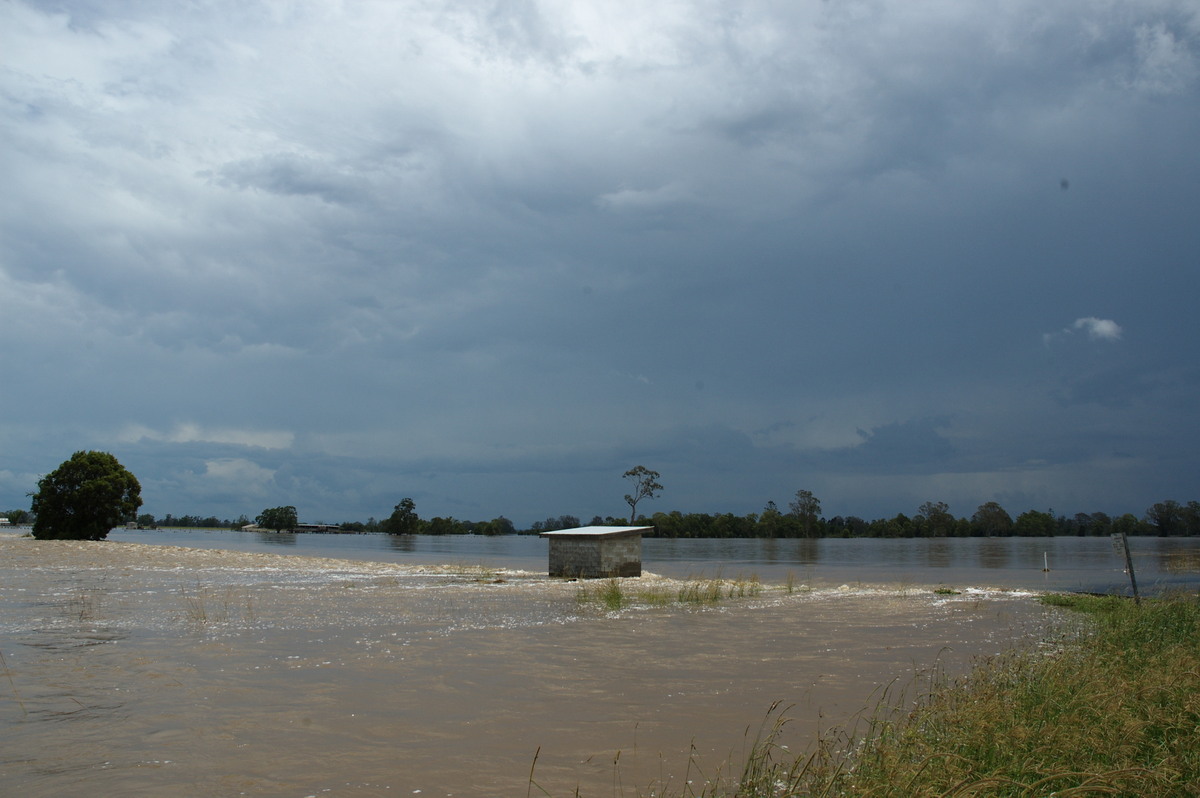 cumulonimbus thunderstorm_base : McKees Hill, NSW   6 January 2008