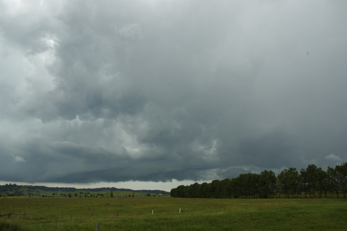 cumulonimbus thunderstorm_base : South Lismore, NSW   6 January 2008