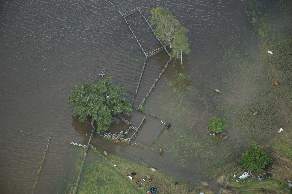 flashflooding flood_pictures : Coraki area, NSW   7 January 2008