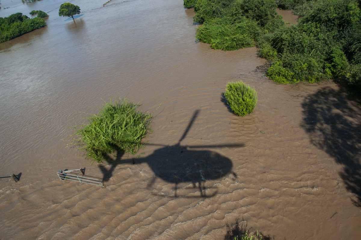 flashflooding flood_pictures : Coraki area, NSW   7 January 2008