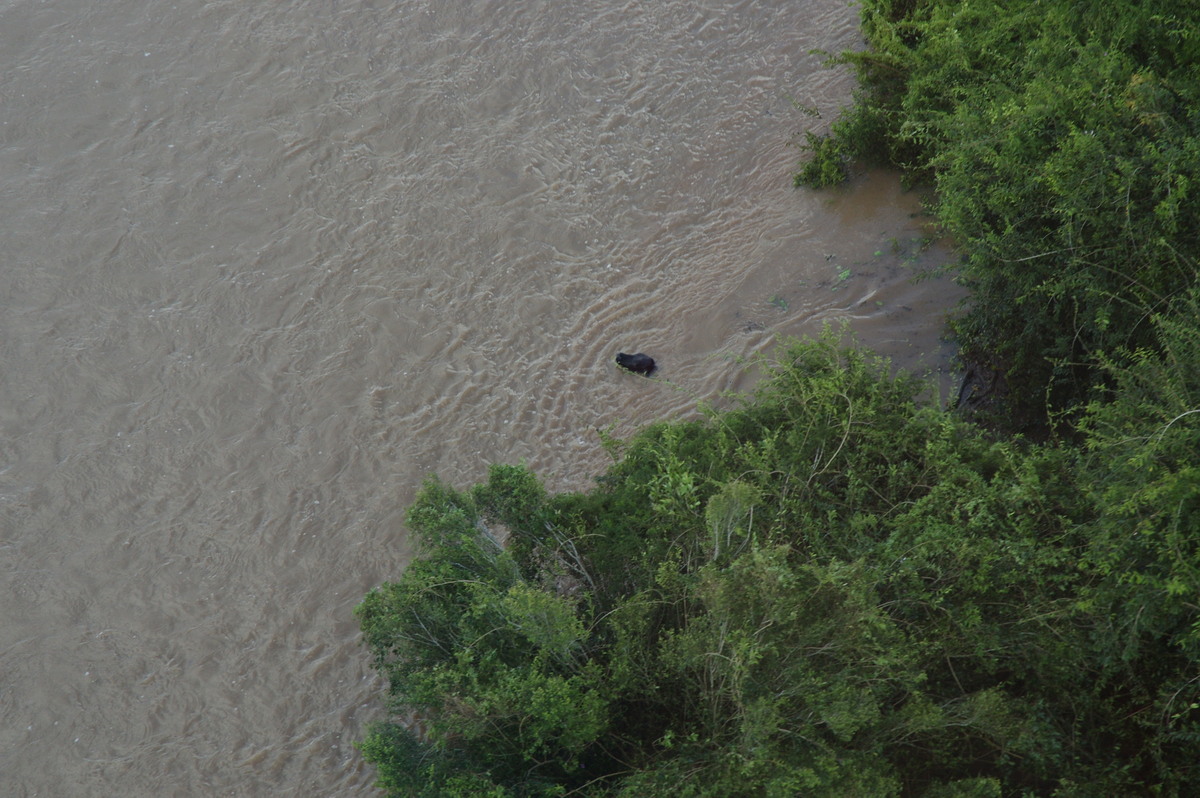 flashflooding flood_pictures : Coraki area, NSW   7 January 2008