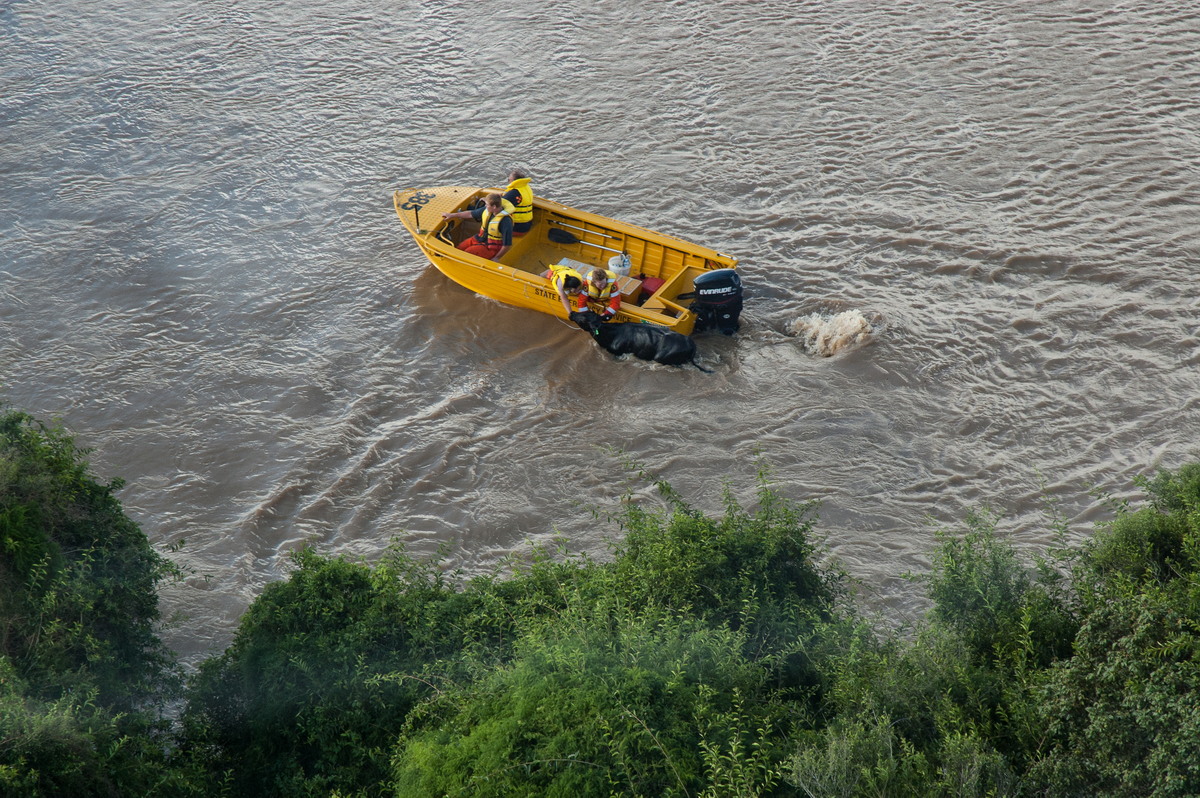 flashflooding flood_pictures : Coraki area, NSW   7 January 2008