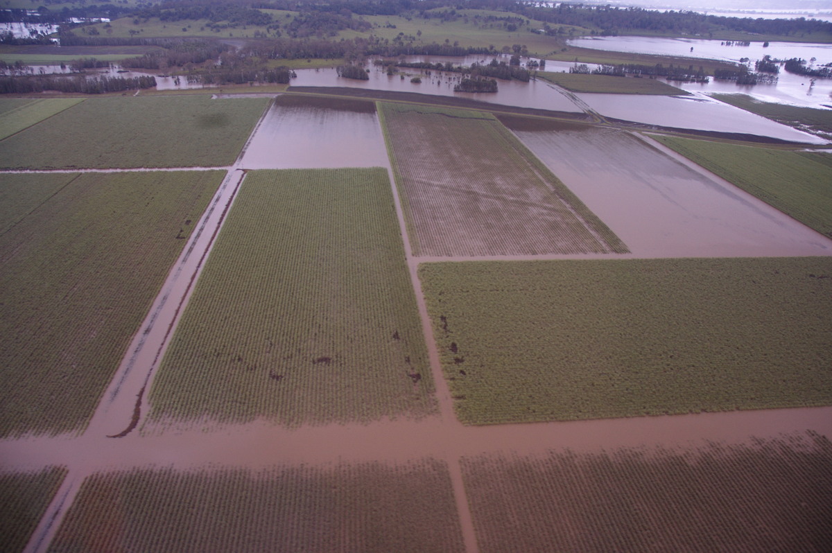 flashflooding flood_pictures : Coraki area, NSW   8 January 2008