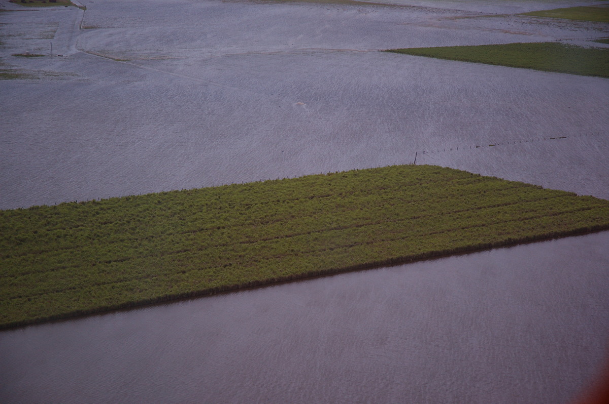 flashflooding flood_pictures : Coraki area, NSW   8 January 2008