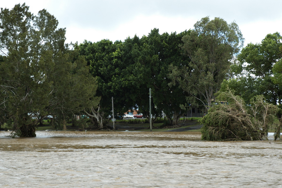 flashflooding flood_pictures : Coraki, NSW   9 January 2008