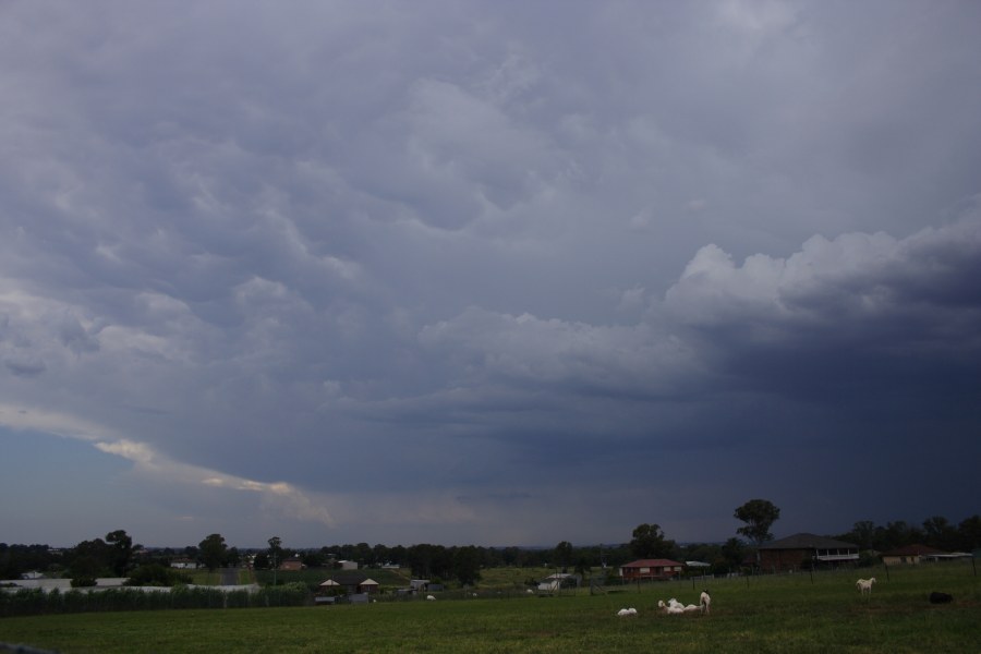 mammatus mammatus_cloud : Schofields, NSW   13 January 2008