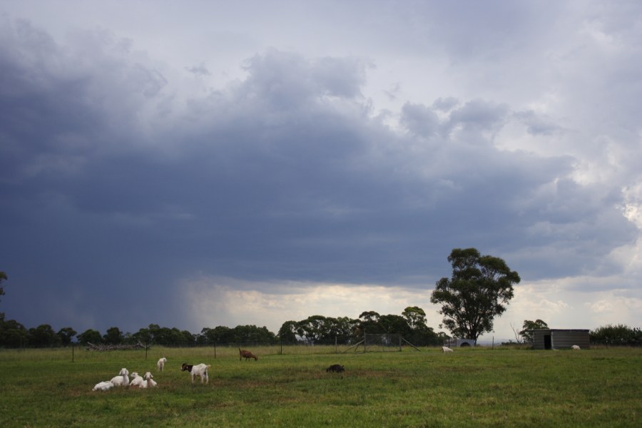 cumulonimbus thunderstorm_base : Schofields, NSW   13 January 2008