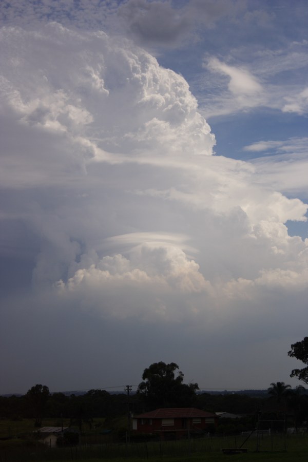 thunderstorm cumulonimbus_incus : Schofields, NSW   16 January 2008