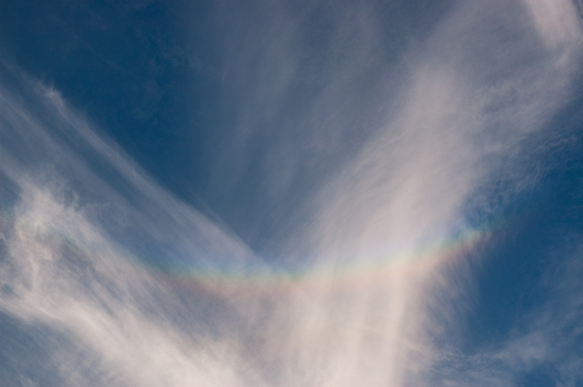 cirrus cirrus_cloud : McLeans Ridges, NSW   16 January 2008