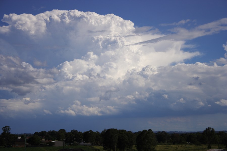 updraft thunderstorm_updrafts : Schofields, NSW   20 January 2008