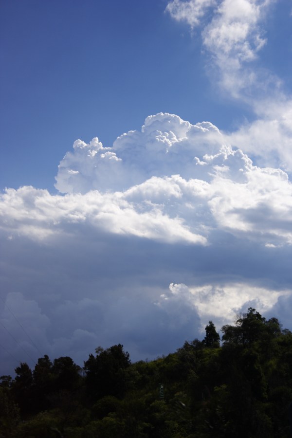 thunderstorm cumulonimbus_calvus : M4 Motorway, Prospect, NSW   20 January 2008