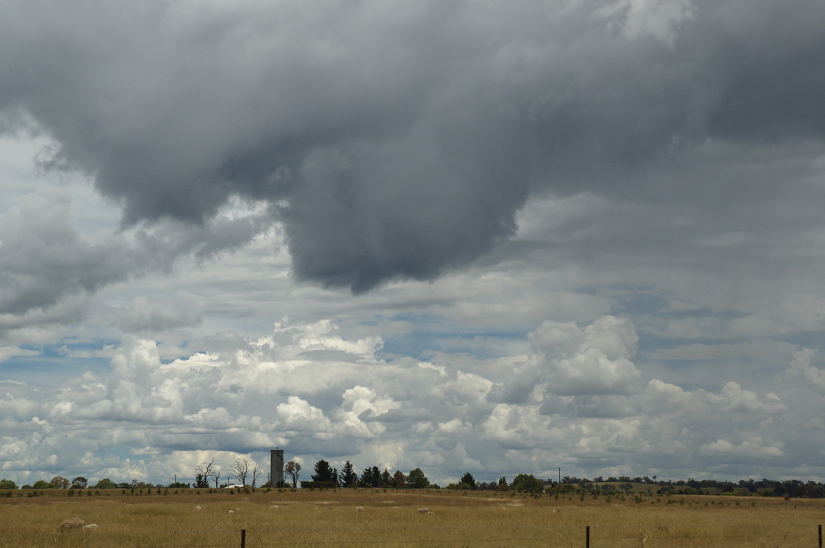 cumulonimbus thunderstorm_base : Deepwater, NSW   27 January 2008