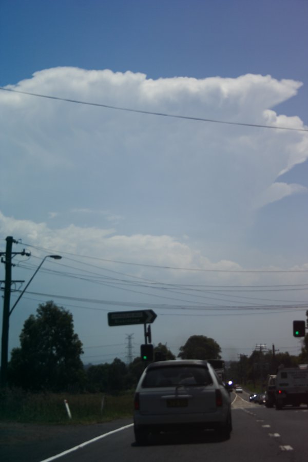 anvil thunderstorm_anvils : Marsden Park, NSW   29 January 2008