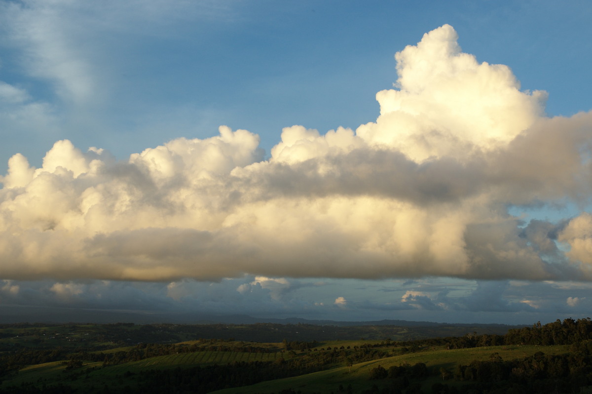 cumulus mediocris : McLeans Ridges, NSW   29 January 2008