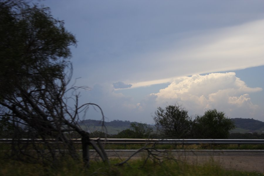 anvil thunderstorm_anvils : near Picton, NSW   30 January 2008