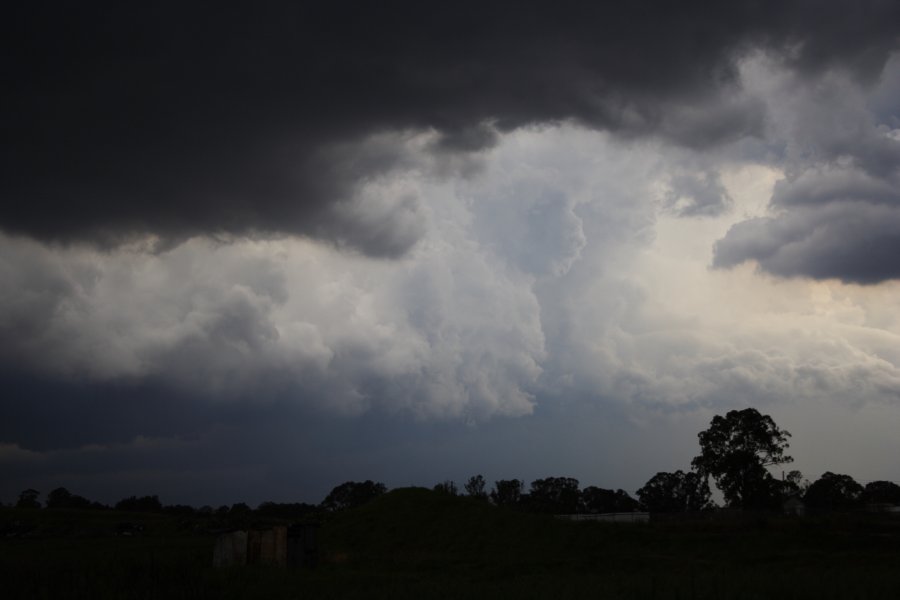 cumulonimbus thunderstorm_base : Schofields, NSW   31 January 2008